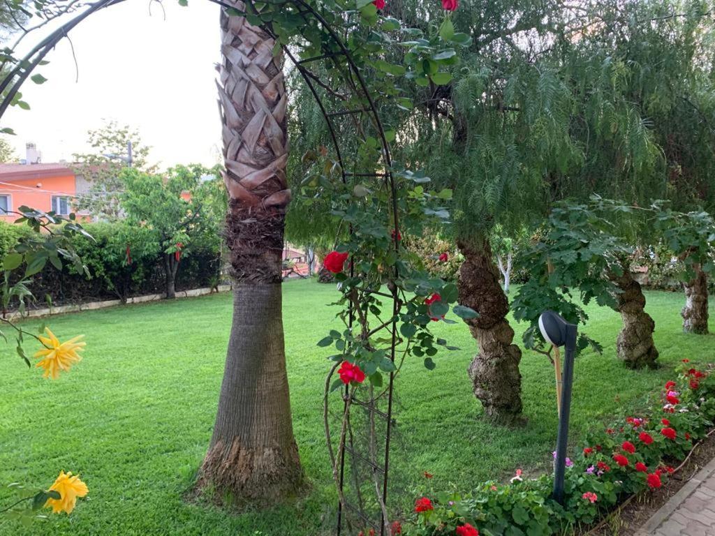 بيسكارا B&B The Garden المظهر الخارجي الصورة