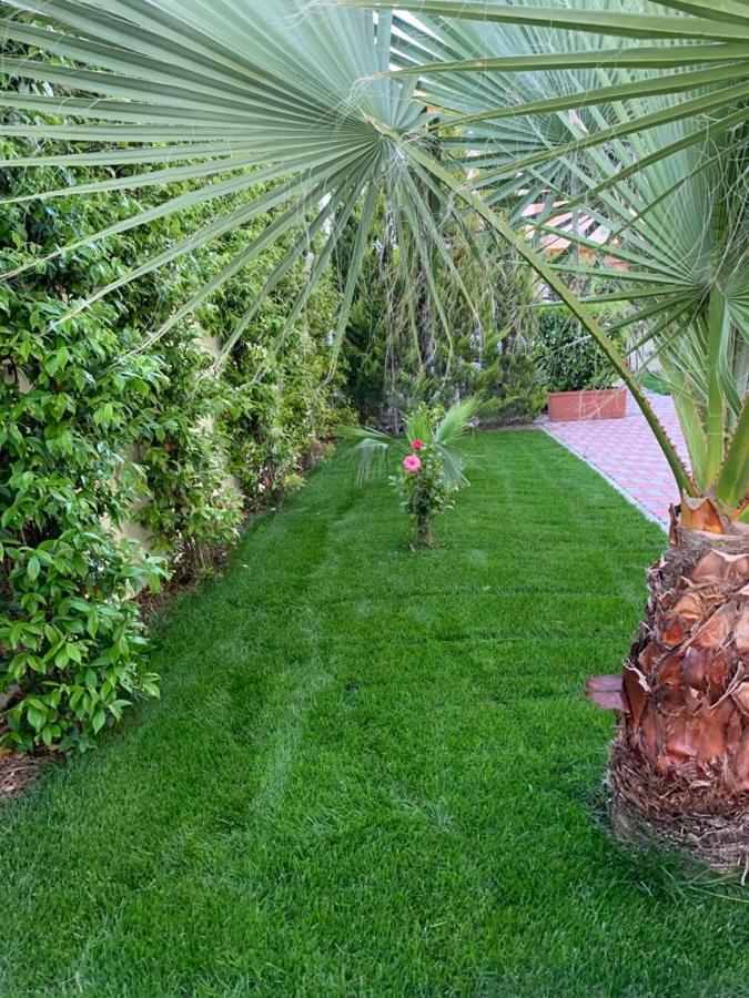 بيسكارا B&B The Garden المظهر الخارجي الصورة