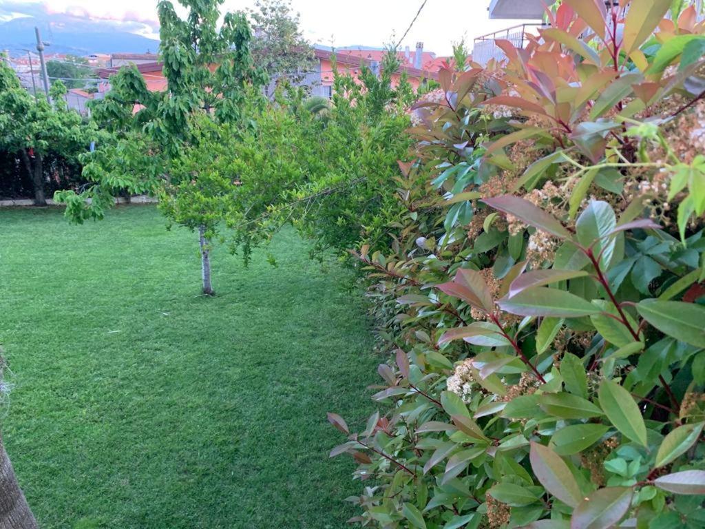 بيسكارا B&B The Garden المظهر الخارجي الصورة
